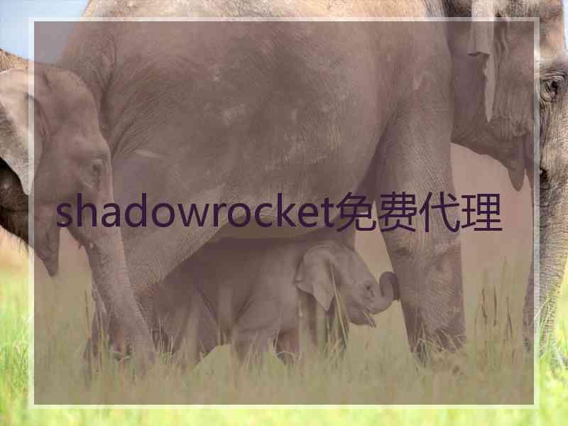 shadowrocket免费代理