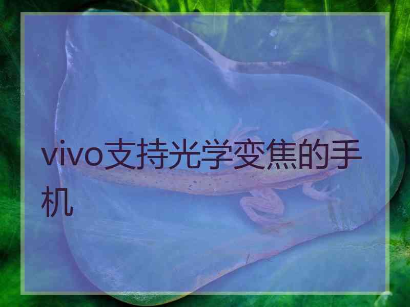 vivo支持光学变焦的手机