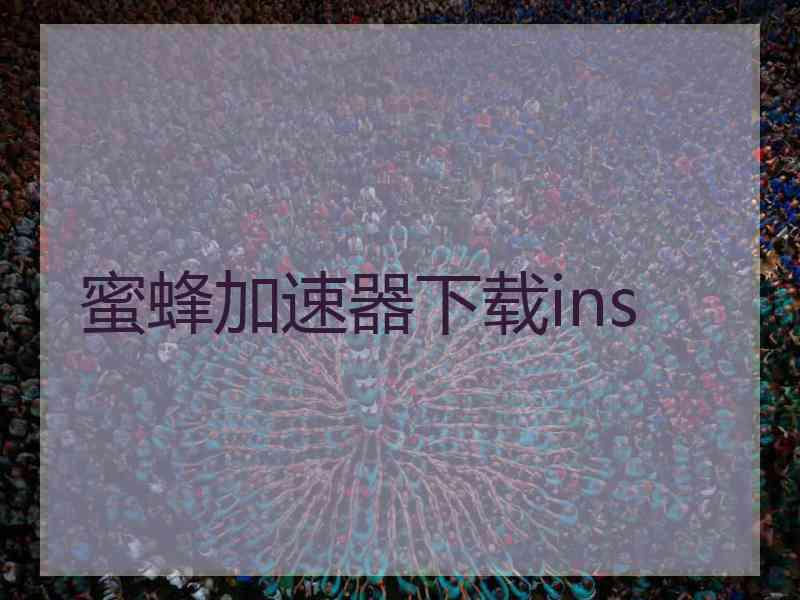 蜜蜂加速器下载ins