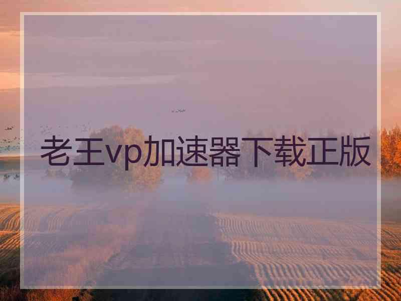 老王vp加速器下载正版