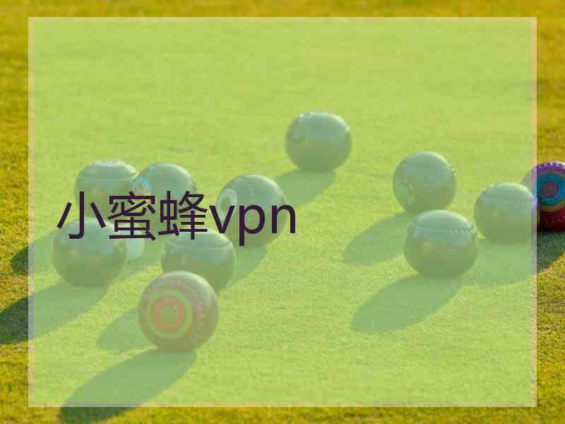 小蜜蜂vpn