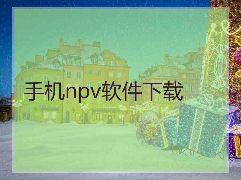 手机npv软件下载