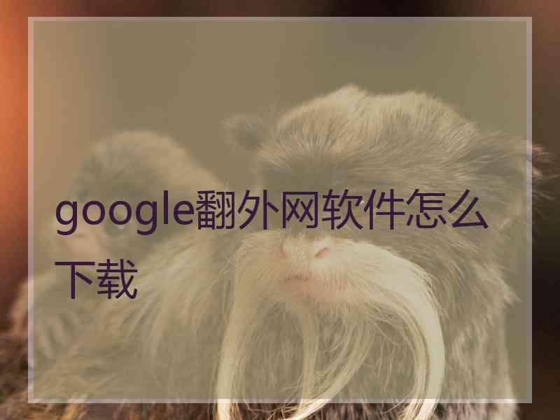 google翻外网软件怎么下载