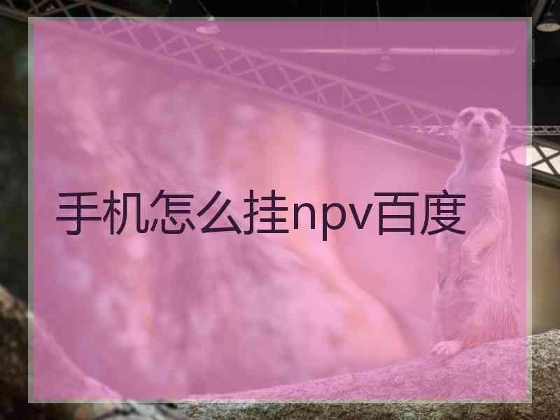 手机怎么挂npv百度