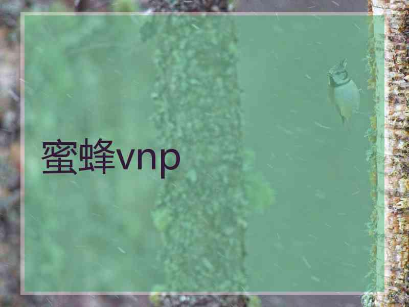 蜜蜂vnp