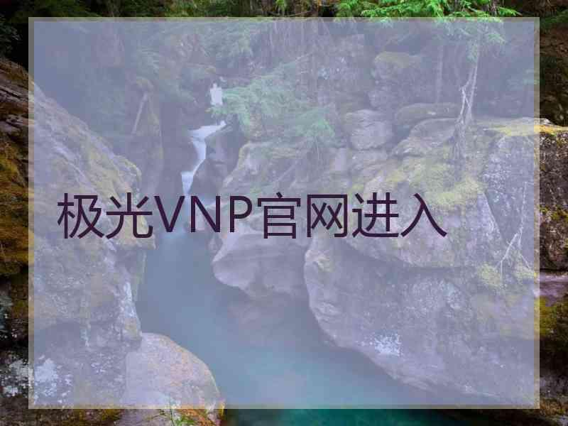 极光VNP官网进入