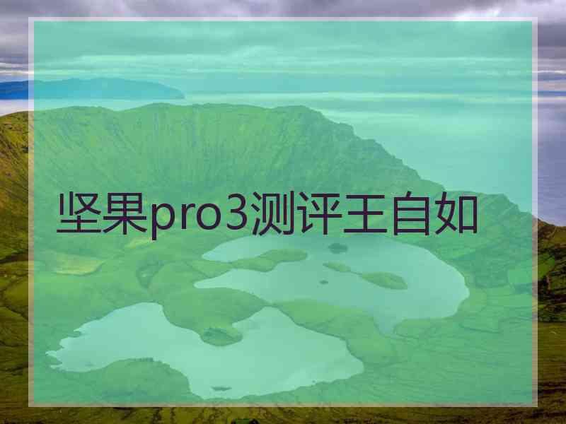 坚果pro3测评王自如