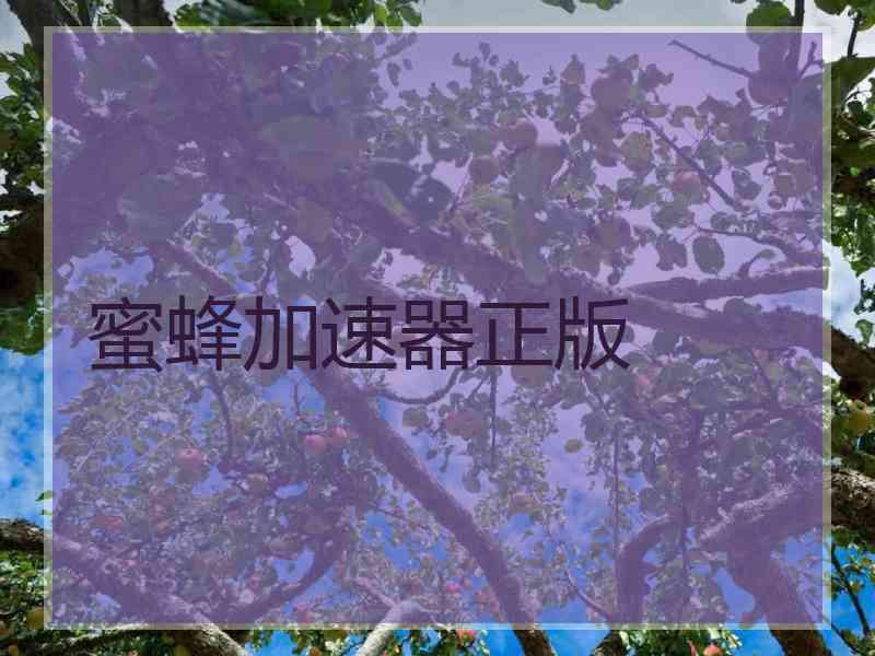 蜜蜂加速器正版