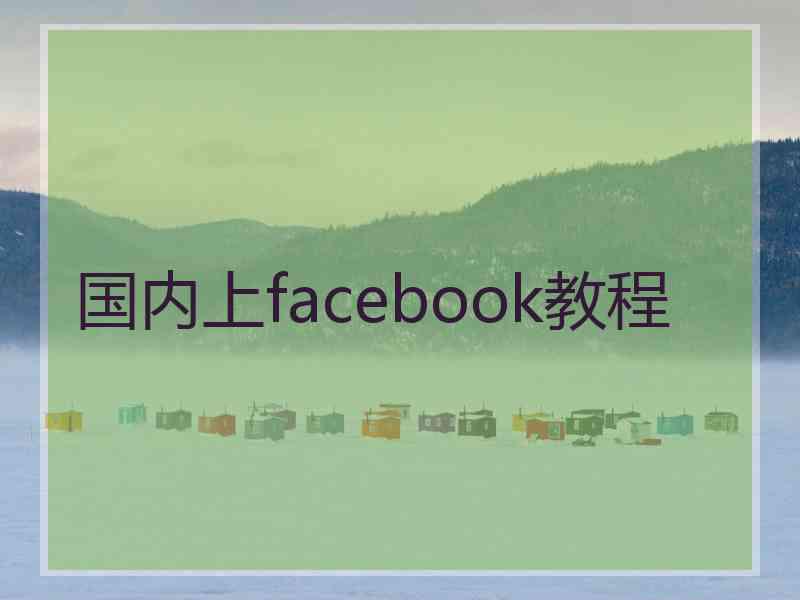 国内上facebook教程