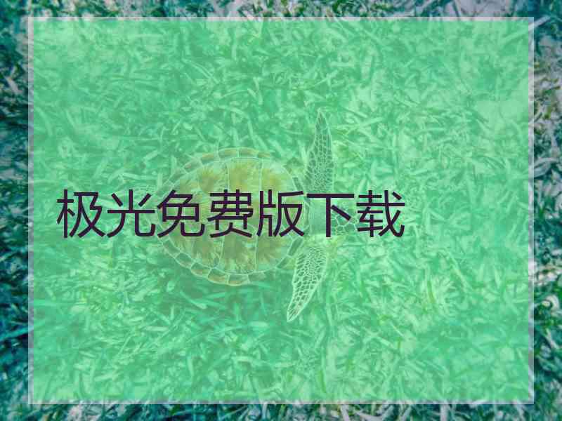 极光免费版下载