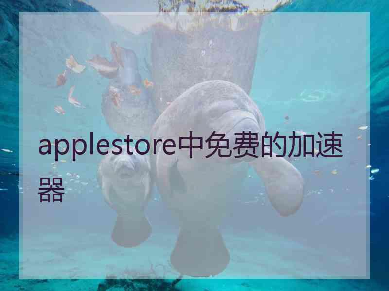 applestore中免费的加速器