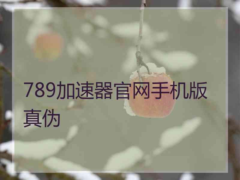 789加速器官网手机版真伪