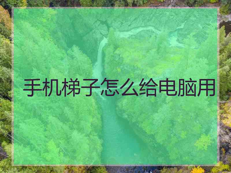 手机梯子怎么给电脑用