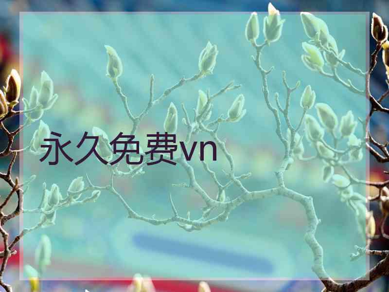 永久免费vn