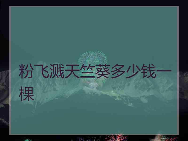 粉飞溅天竺葵多少钱一棵