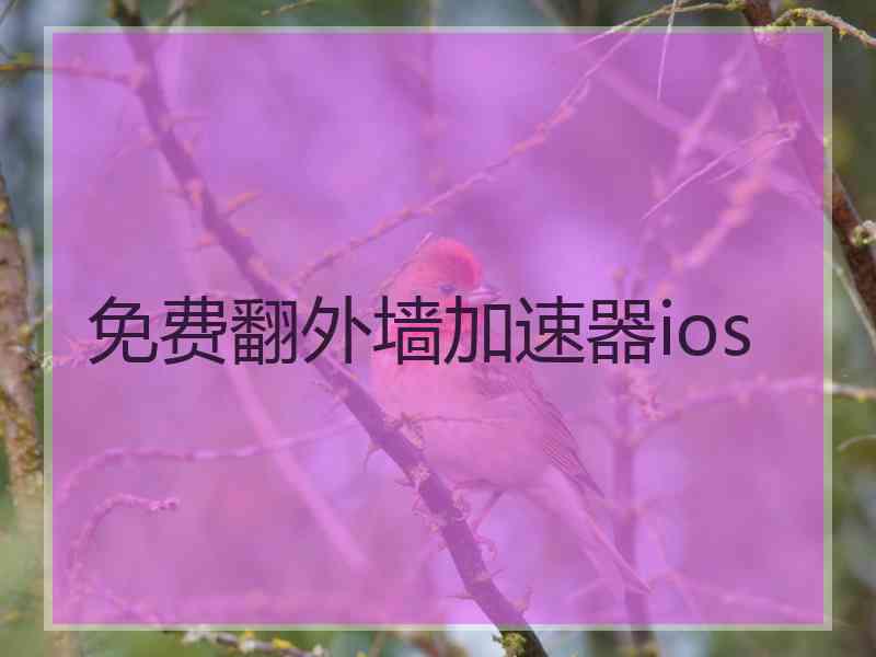 免费翻外墙加速器ios