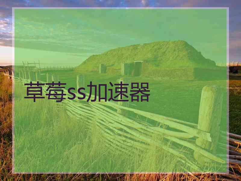 草莓ss加速器