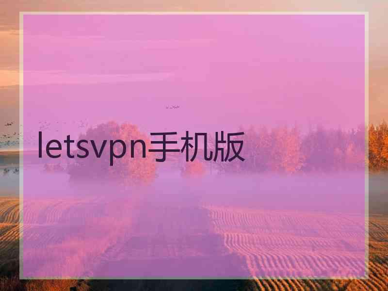 letsvpn手机版