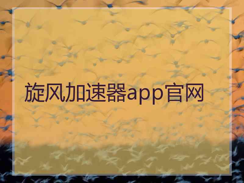 旋风加速器app官网