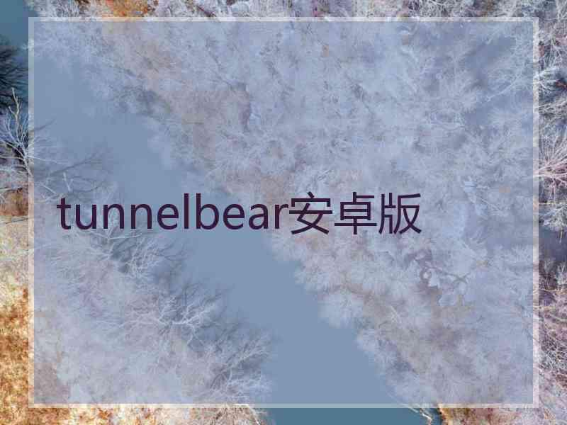 tunnelbear安卓版