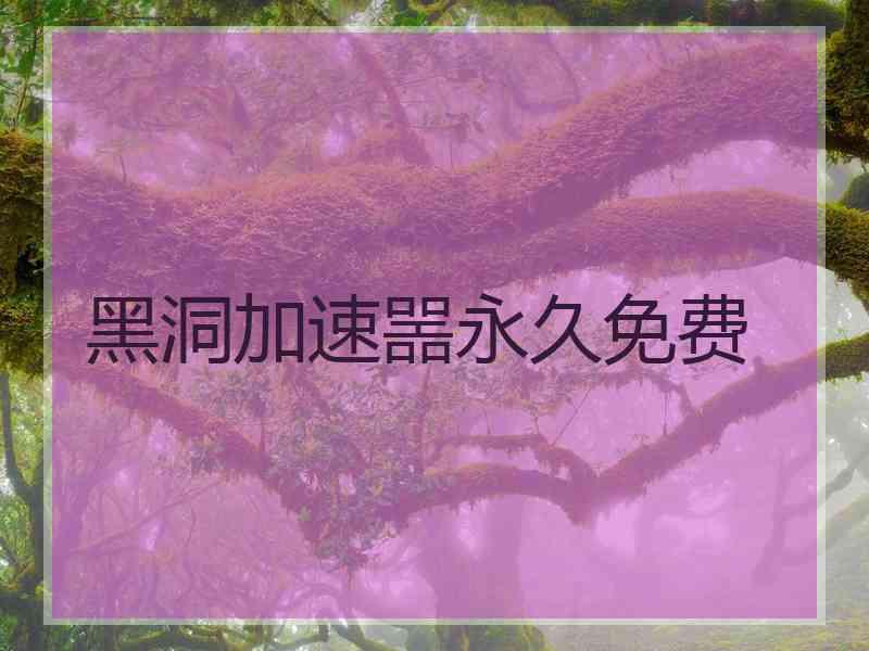 黑洞加速噐永久免费