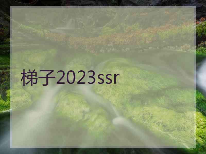 梯子2023ssr