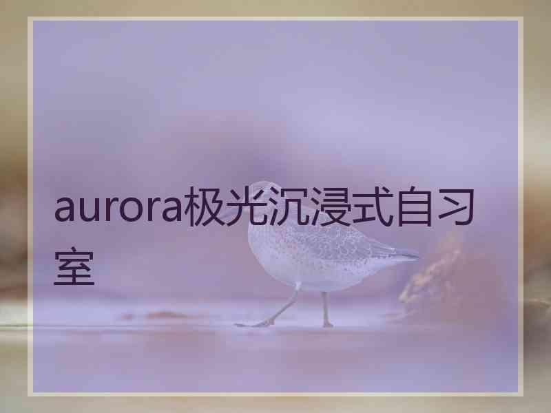 aurora极光沉浸式自习室