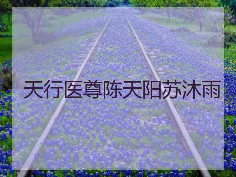 天行医尊陈天阳苏沐雨