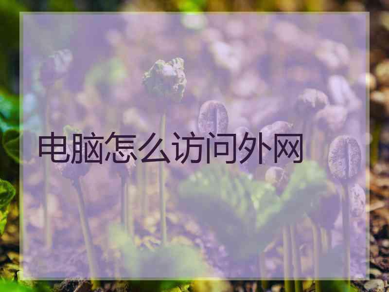 电脑怎么访问外网