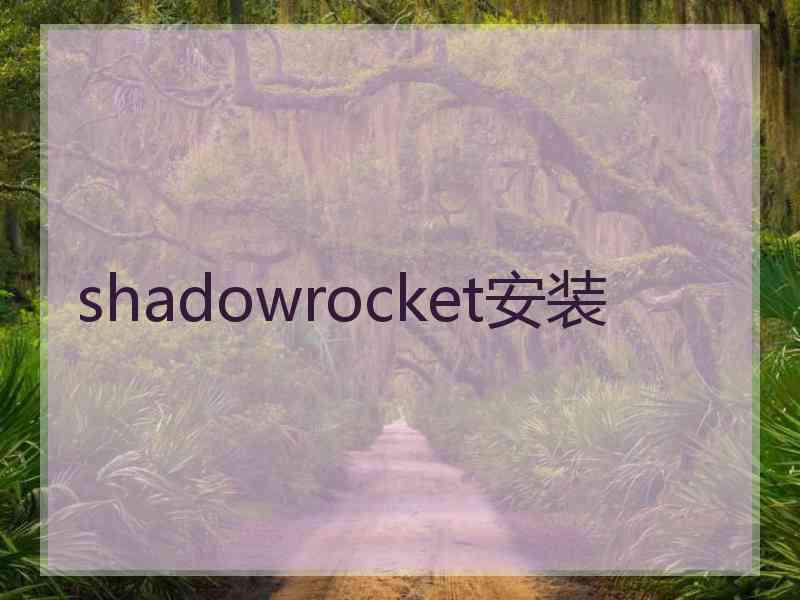 shadowrocket安装