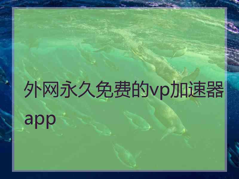 外网永久免费的vp加速器app