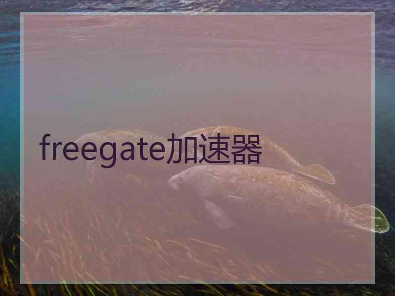 freegate加速器