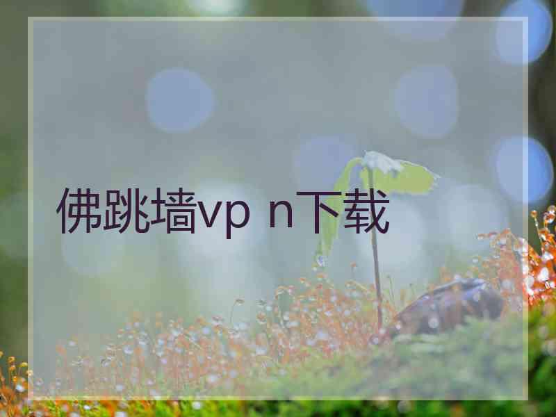 佛跳墙vp n下载