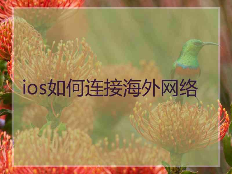 ios如何连接海外网络