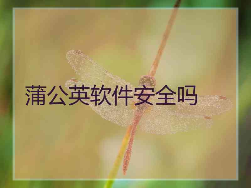 蒲公英软件安全吗