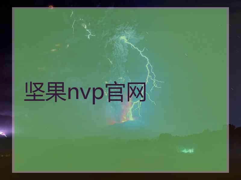 坚果nvp官网