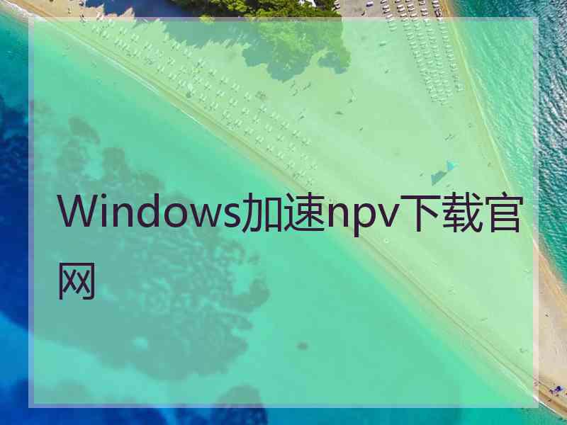 Windows加速npv下载官网