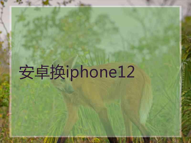 安卓换iphone12