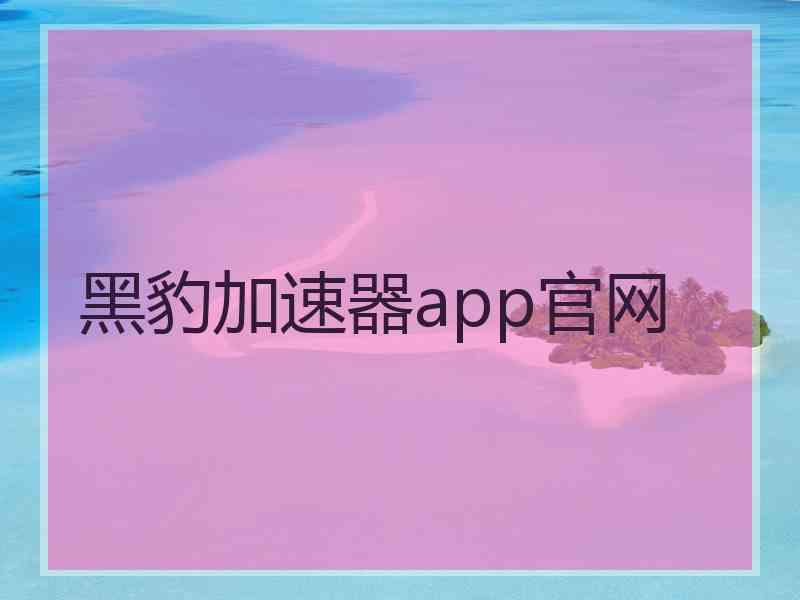 黑豹加速器app官网