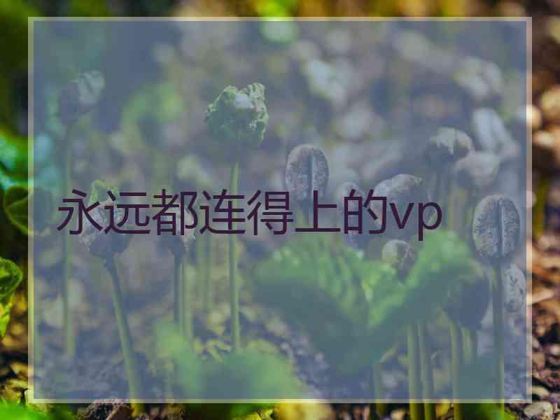 永远都连得上的vp