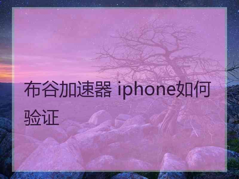 布谷加速器 iphone如何验证