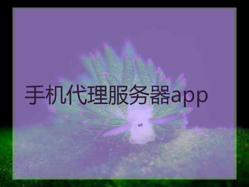 手机代理服务器app