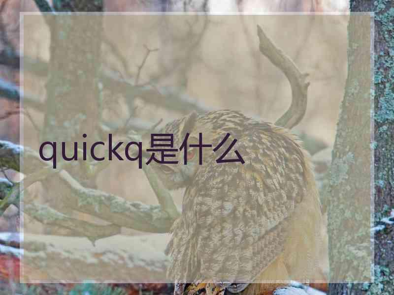 quickq是什么