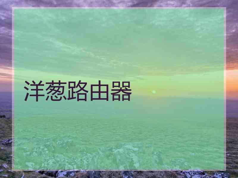 洋葱路由器