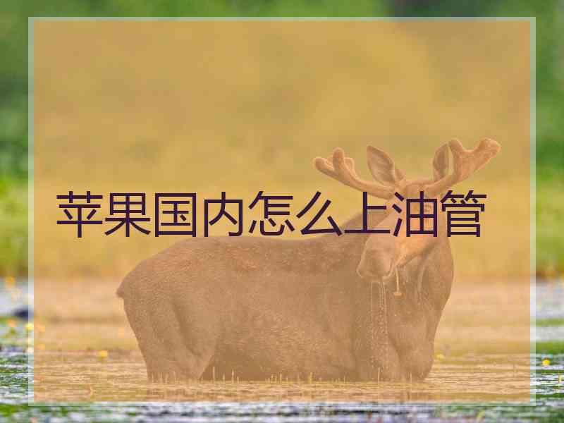 苹果国内怎么上油管