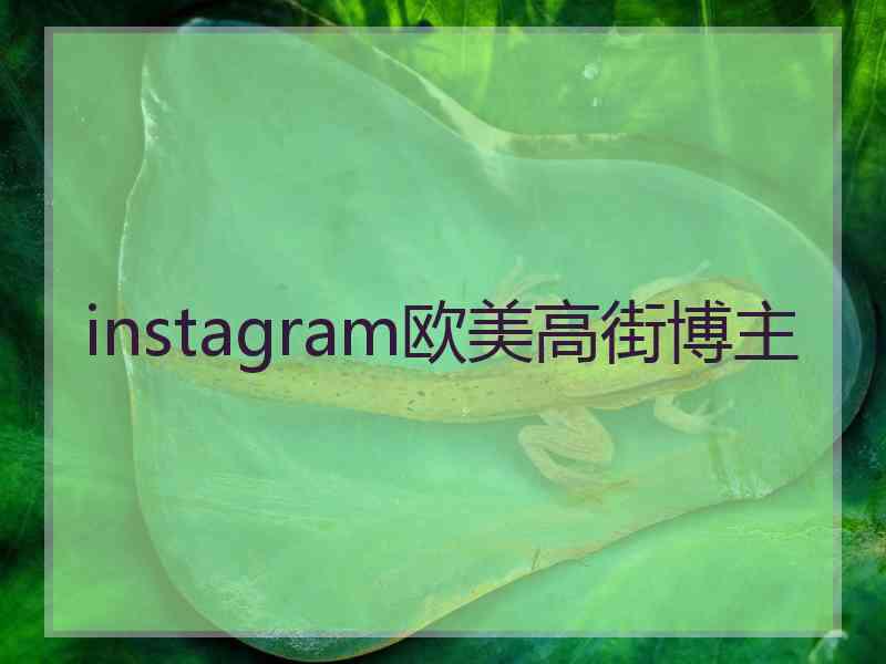 instagram欧美高街博主