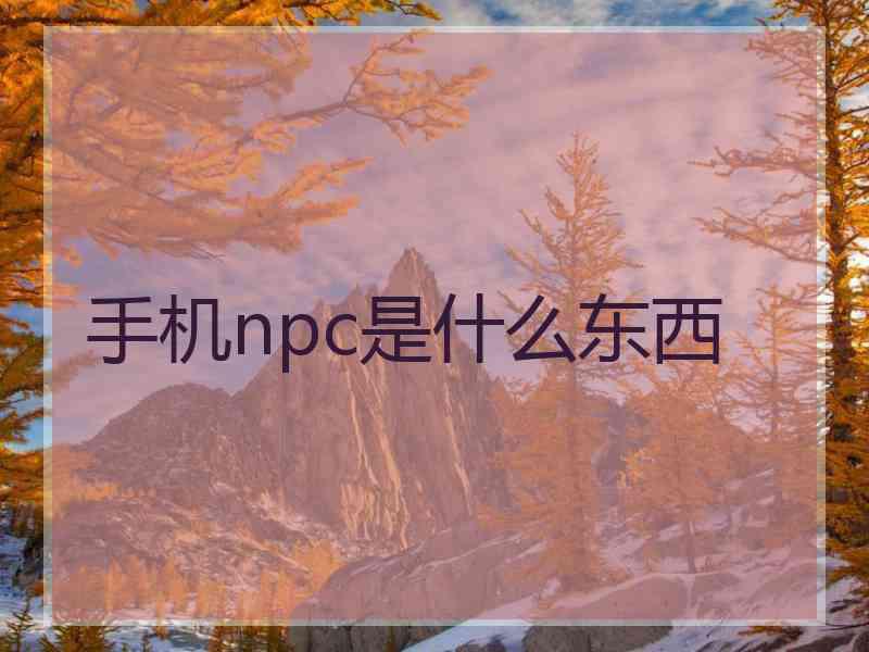 手机npc是什么东西