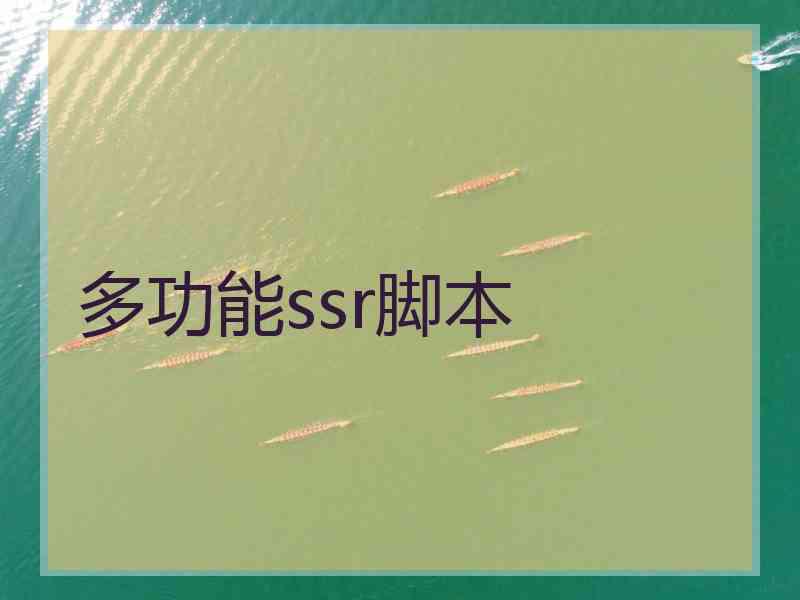 多功能ssr脚本