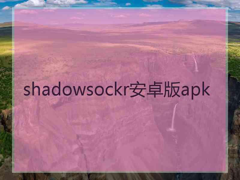 shadowsockr安卓版apk