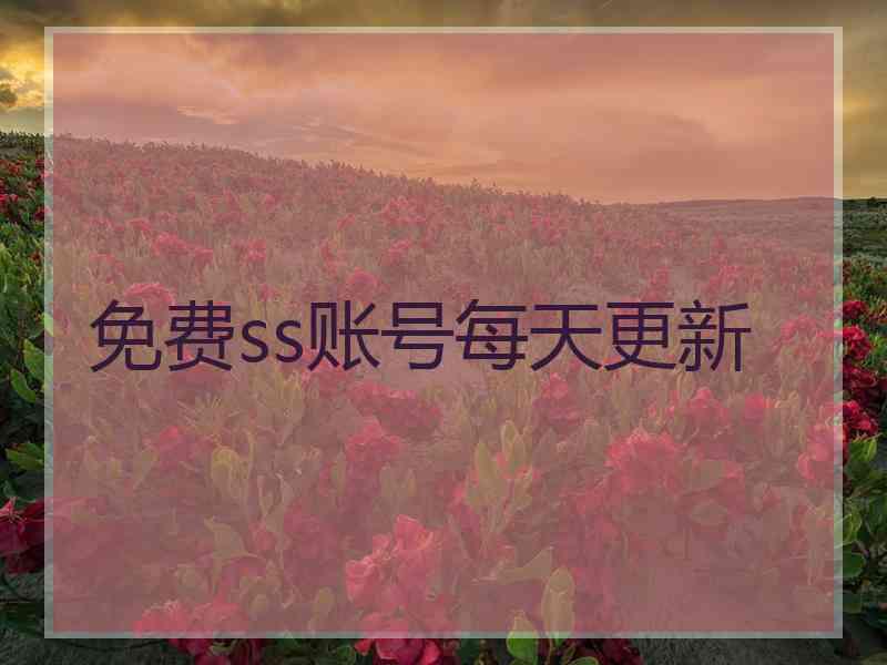 免费ss账号每天更新